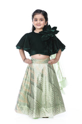 Frilly Sleeves Green Velvet Top With Sequin Embroidered Lehenga